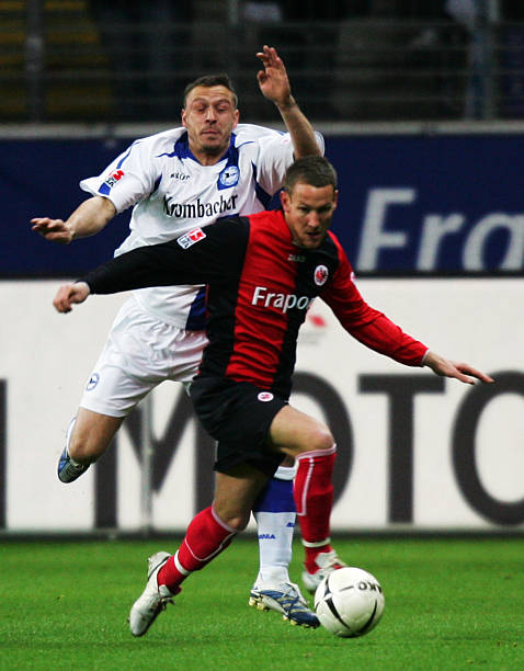 直致力于提 直致力于提